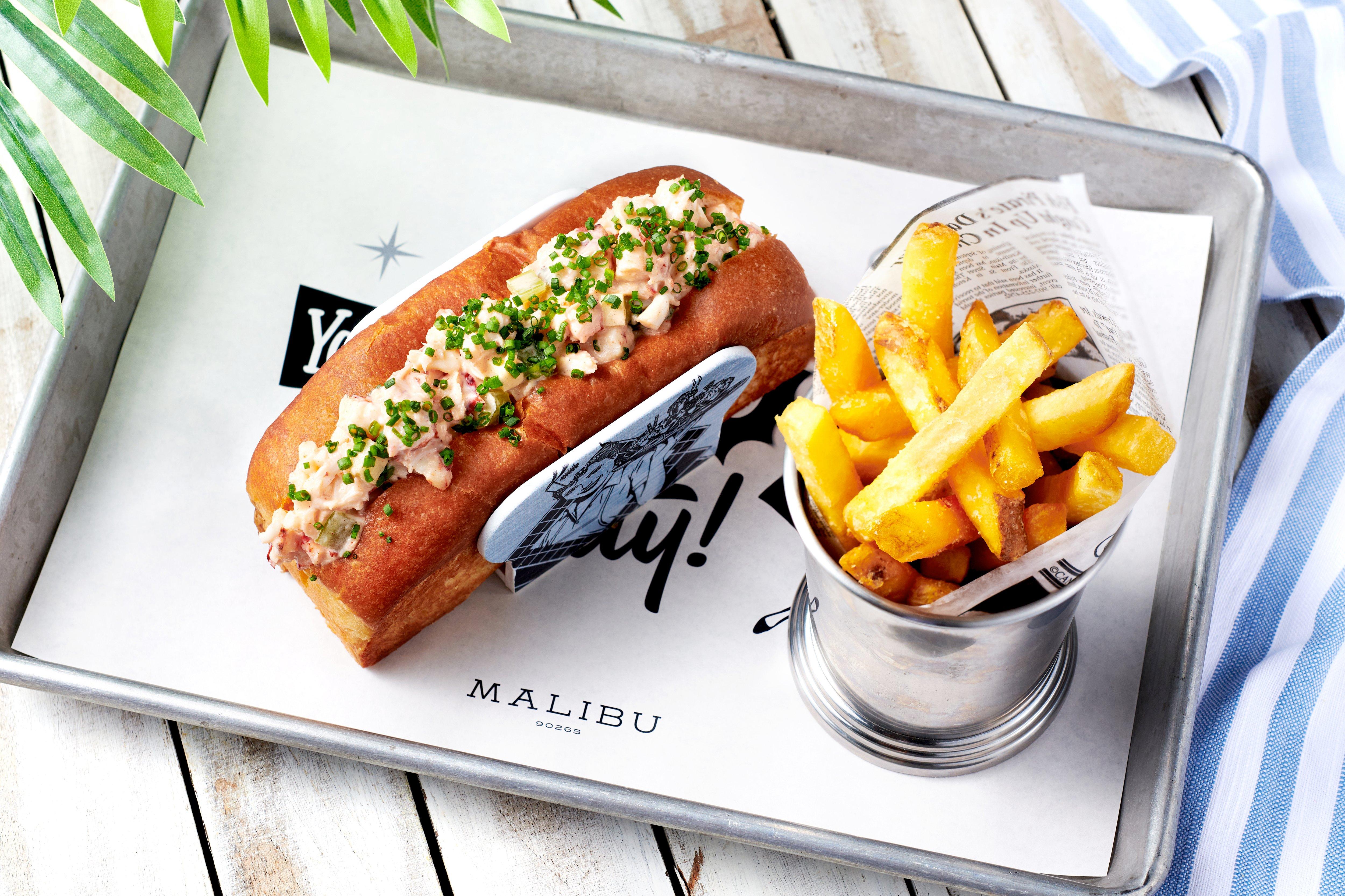 Malibu Food Dish